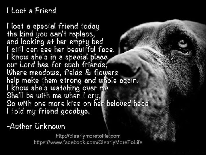 Dog Death Quotes Quotesgram