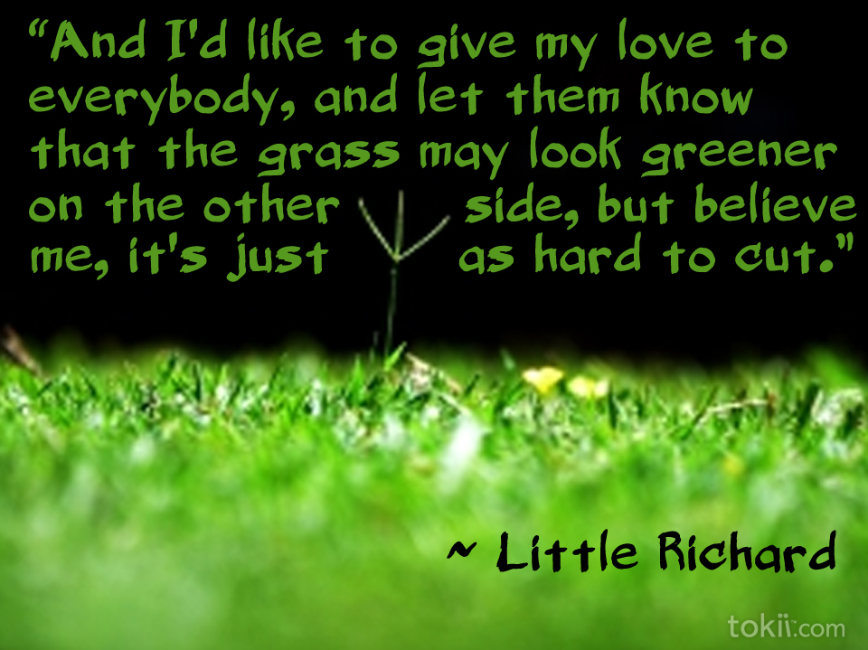 Grass Isnt Always Greener Quotes Quotesgram