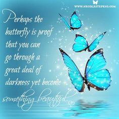Mothers Quotes And Beautiful Butterfly. QuotesGram