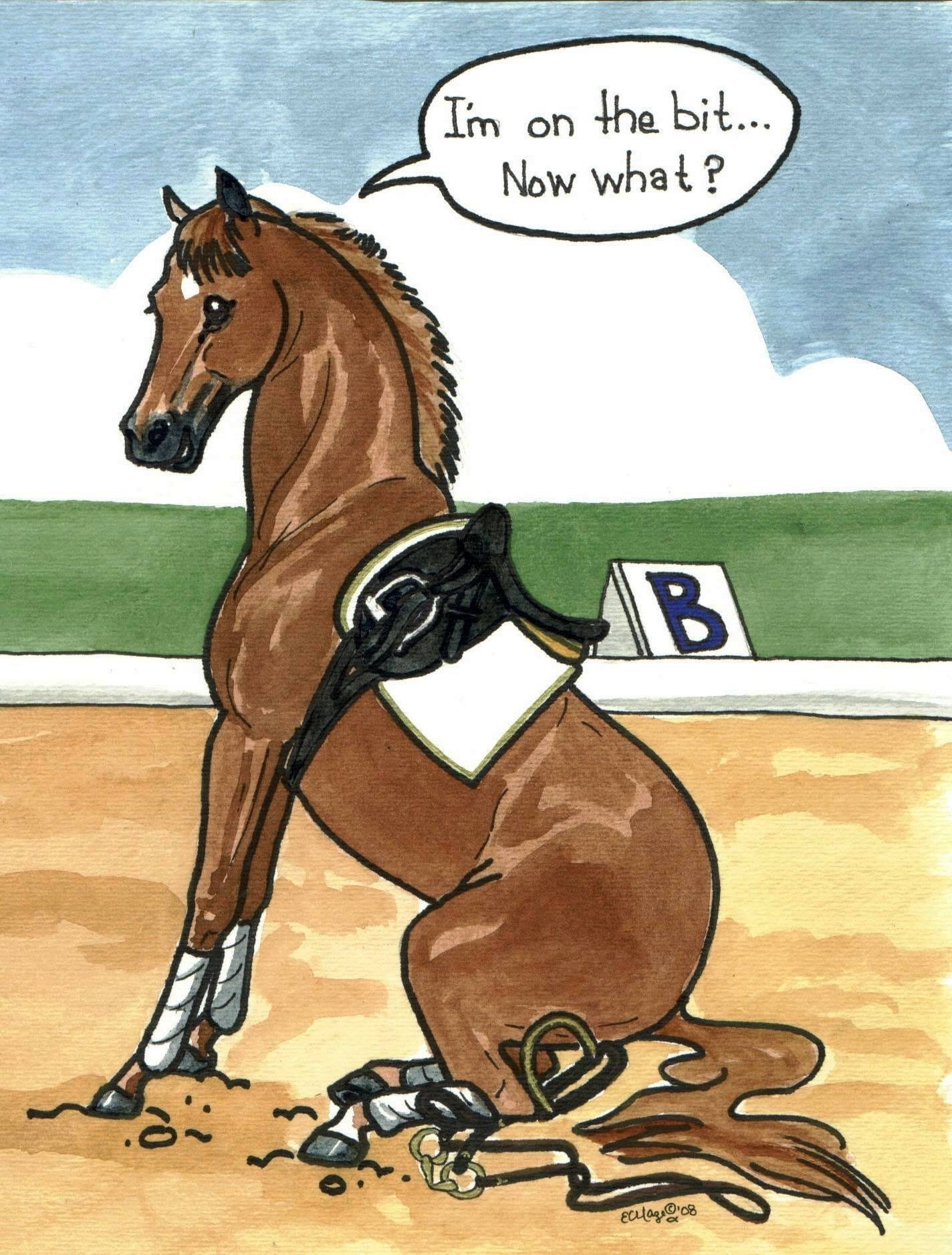 Quotes Funny Horse Cartoon. QuotesGram