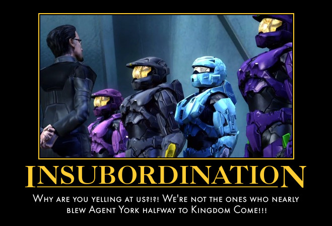 Red Vs Blue Director Quotes.