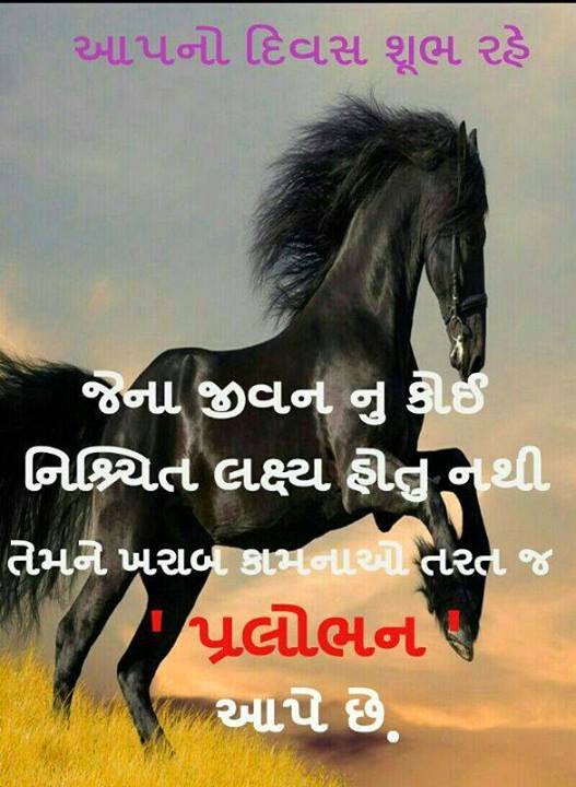  Gujarati  Quotes  On Life  QuotesGram