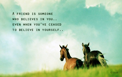 Horse Friendship Quotes. QuotesGram