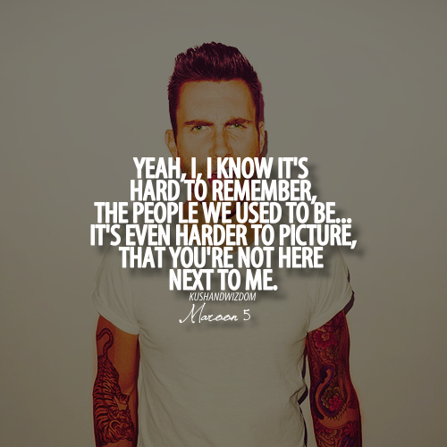 Animals Maroon 5 Quotes. QuotesGram