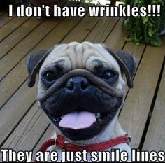 Funny Wrinkle Quotes. QuotesGram