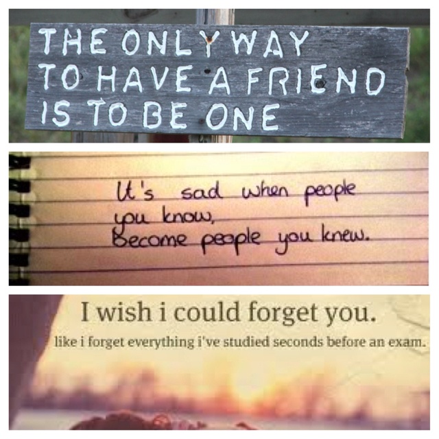 Losing A Friend Quotes
