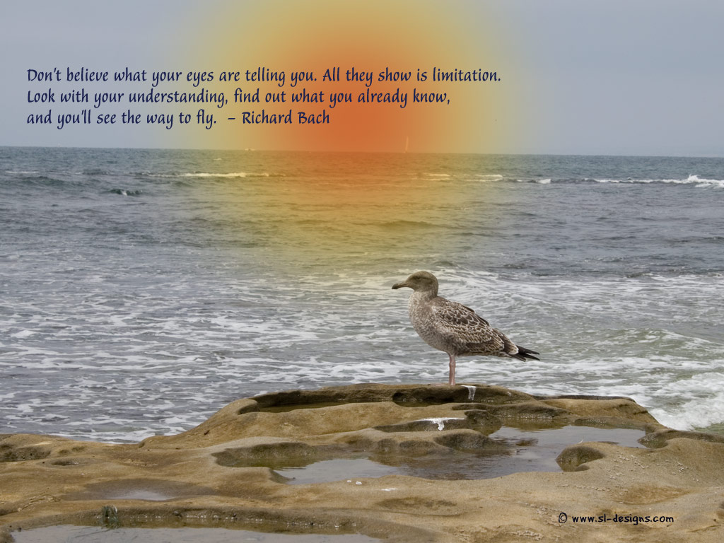 Birds And Quotes On Life. QuotesGram