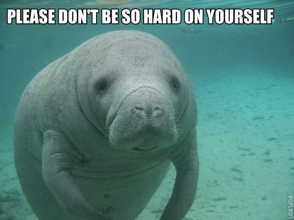 Lovely Manatee Quotes. QuotesGram