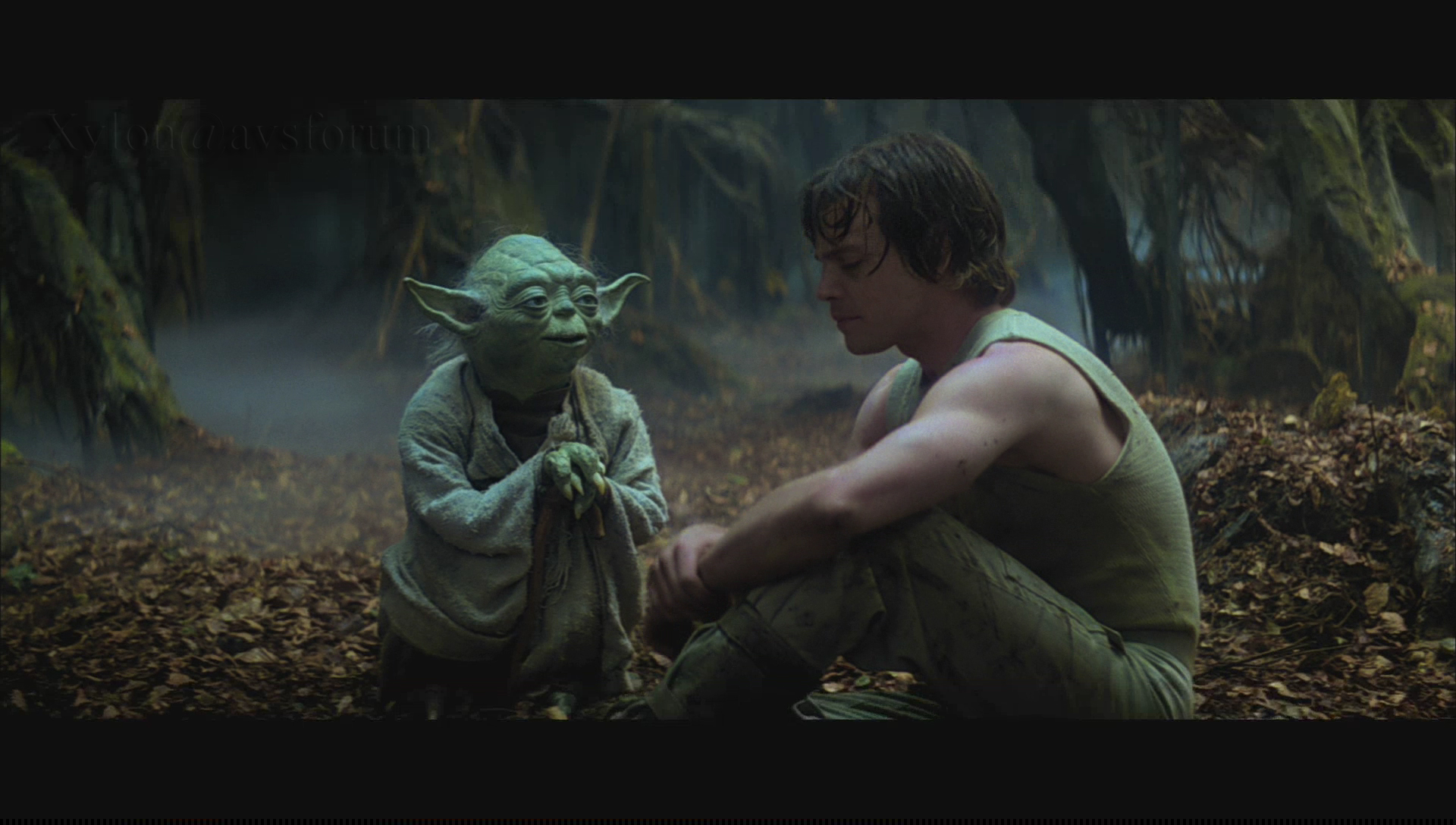 Empire Strikes Back Yoda Quotes. QuotesGram