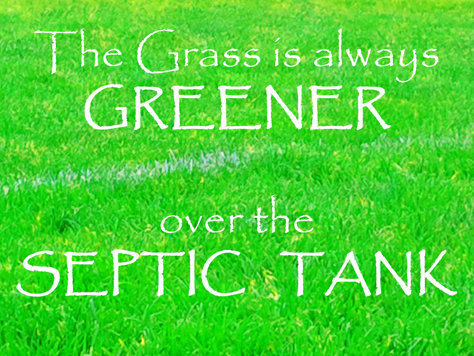 The grass is always Greener on the other Side. The grass is always Greener on the other Side of the Fence. The grass is always Greener on the other Side picture. The grass that looks Greener.