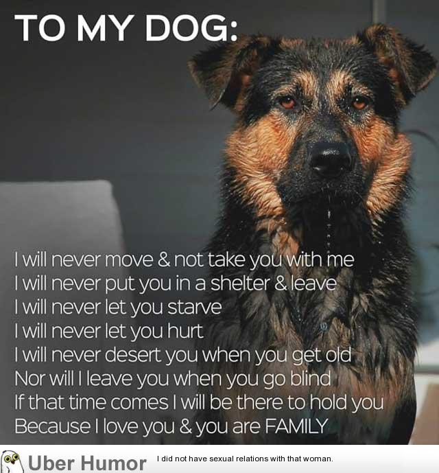 Funny Quotes About Dog Owners. QuotesGram
