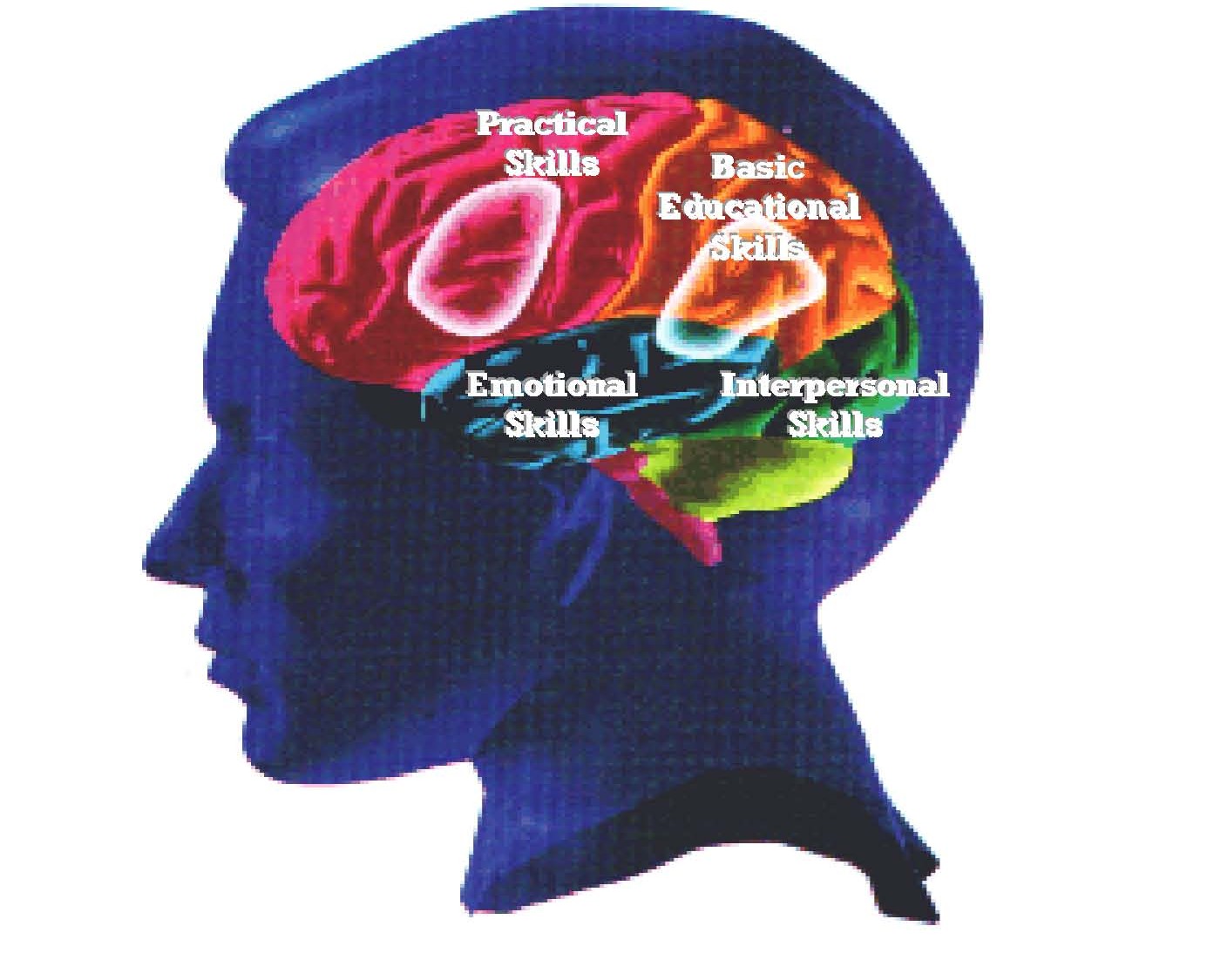 intrapersonal-intelligence-quotes-quotesgram