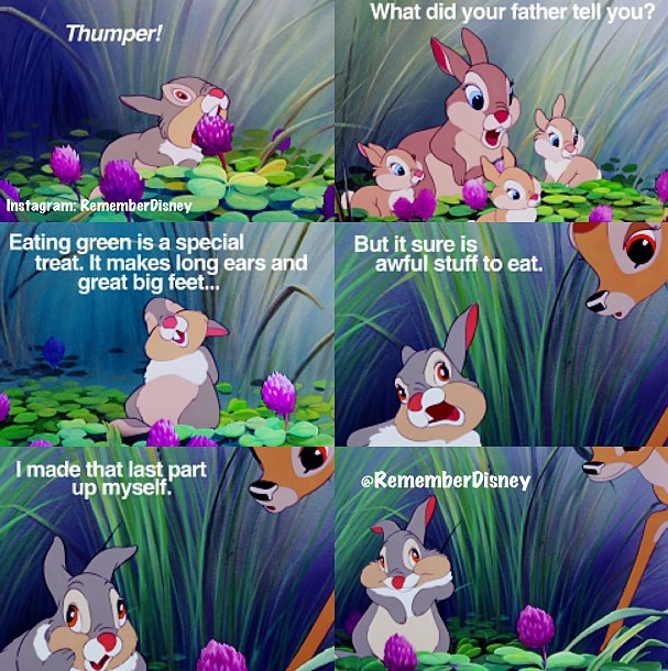 Quotes From Bambi.