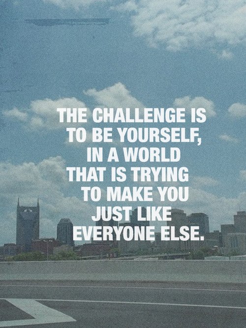 I Like A Challenge Quotes. QuotesGram