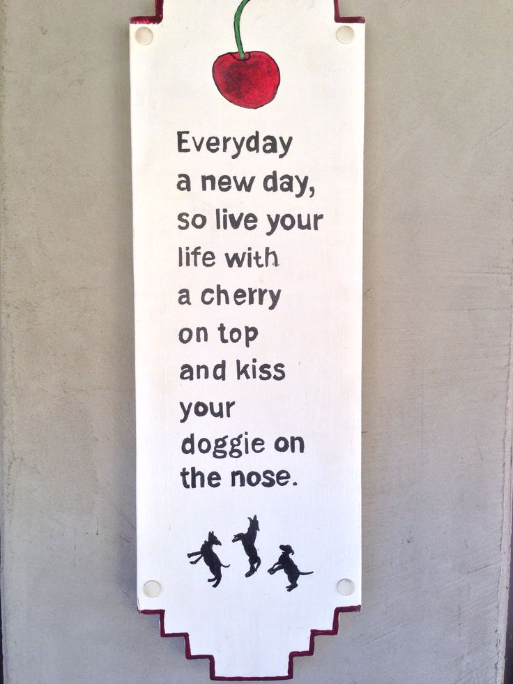 Dog Nose Quotes. QuotesGram