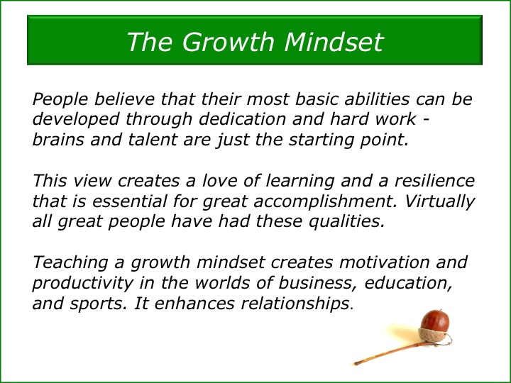 Fixed Mindset Quotes. QuotesGram