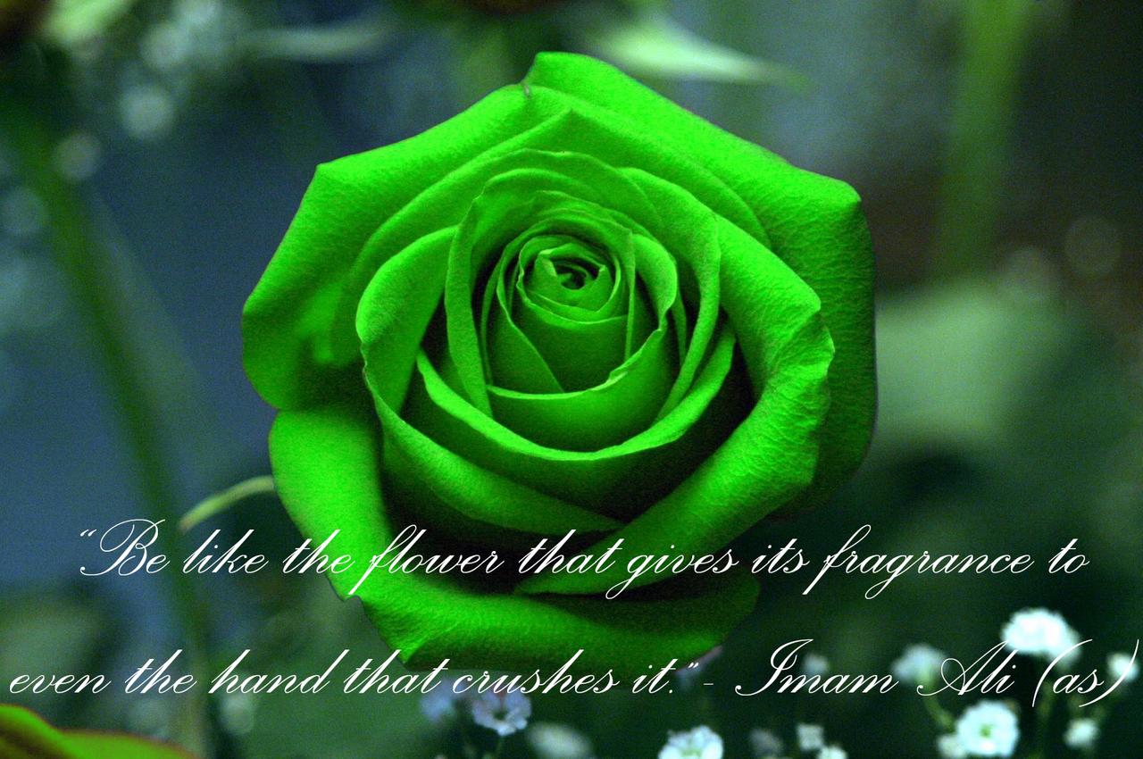 Hadith Quotes With Flowers. QuotesGram