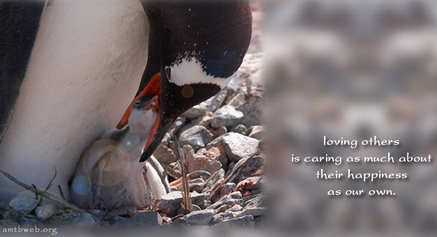 Caring For Others Inspirational Quotes. QuotesGram