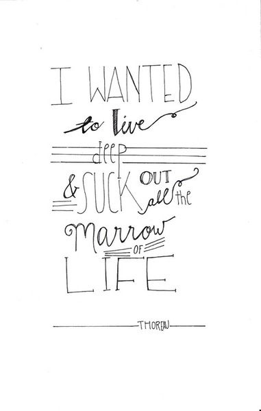 Thoreau Quotes Marrow Quotesgram