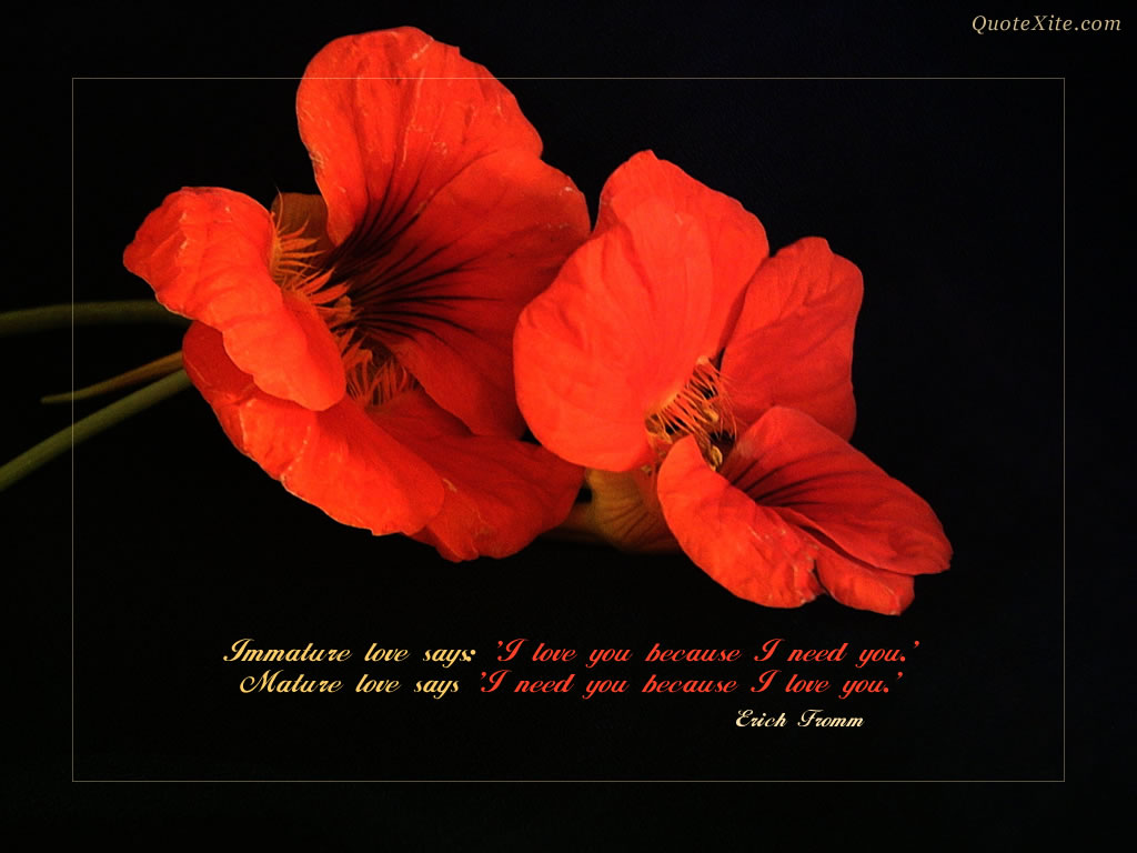 Long Lasting Relationship Quotes Quotesgram Long Lasting Relationship Quotes Quotesgram