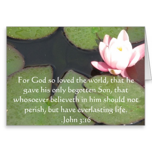 Inspirational Quotes Greeting Card. QuotesGram