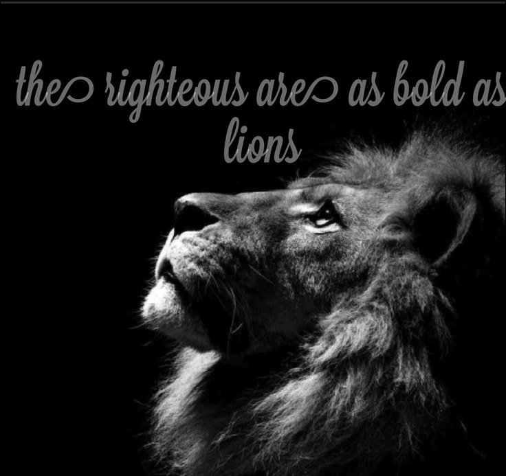 Lion And Doves Godly Quotes. QuotesGram