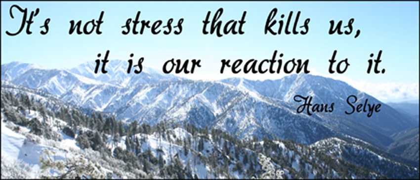 Inspirational Quotes For Stressful Job. QuotesGram