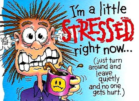 Humorous Quotes About Stress. QuotesGram