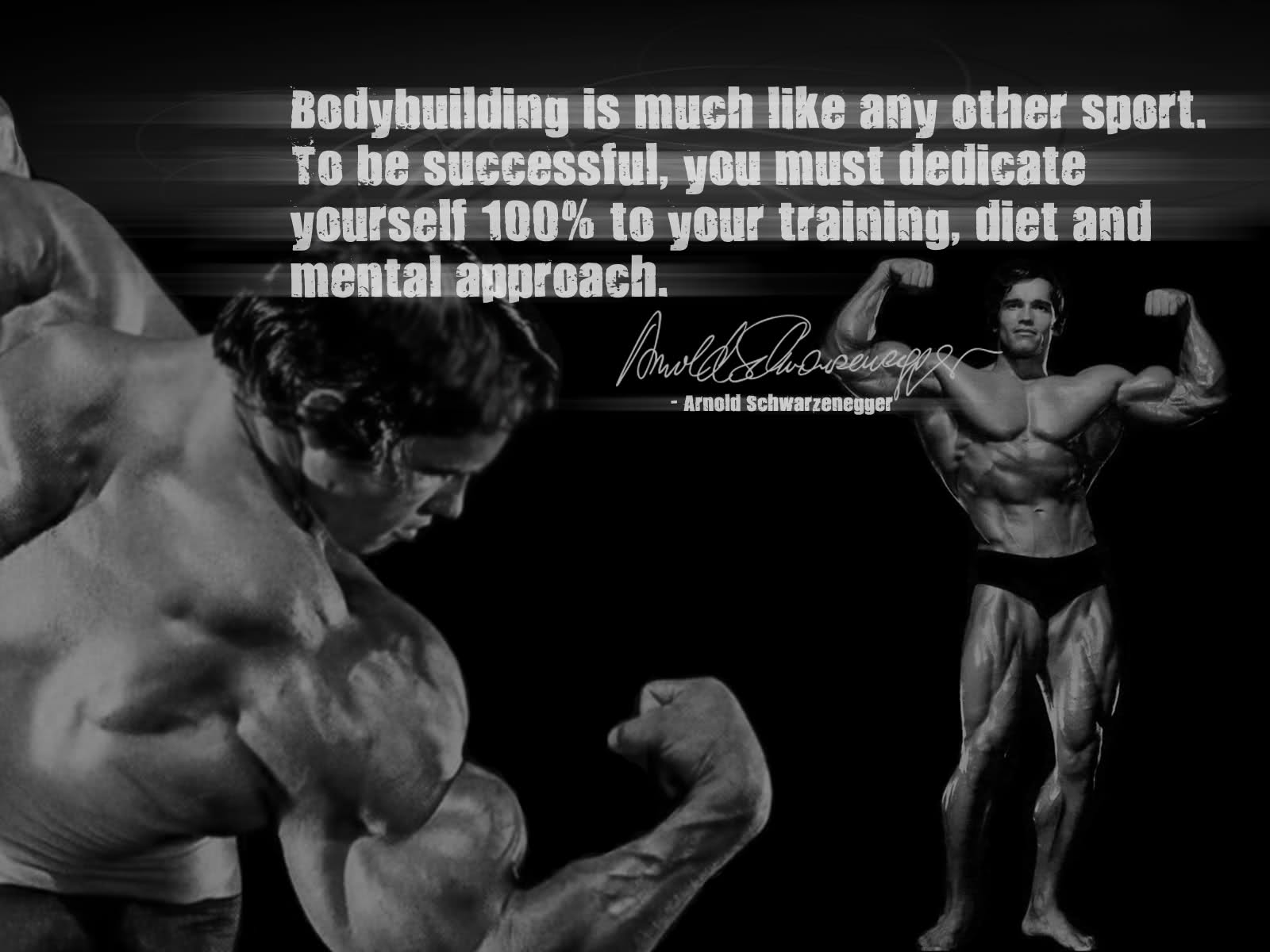 Arnold Gym Pain Quotes Quotesgram