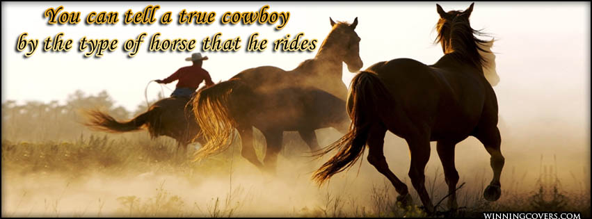 .y Cowboy On Horse Quotes. QuotesGram
