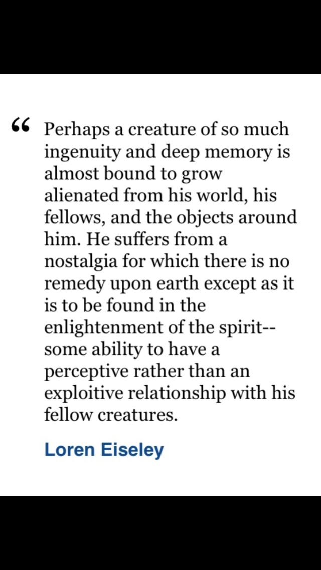 Funny Political Correctness Quotes. QuotesGram