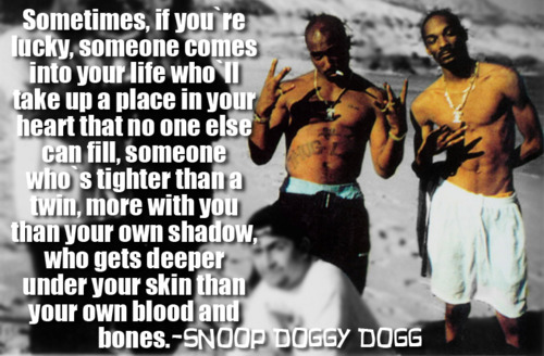 Best Hip Hop Song Quotes. QuotesGram