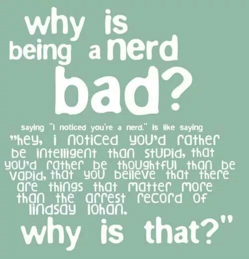 essay about being a nerd