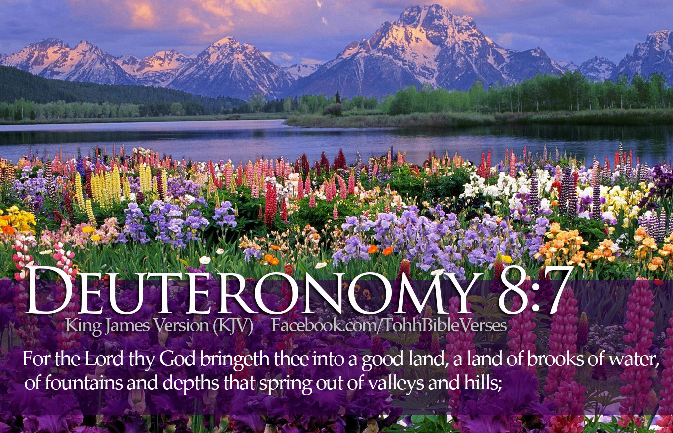 Landscape Quotes From Bible. QuotesGram