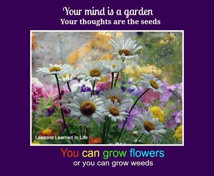  Quotes  For Growing  Flowers  QuotesGram