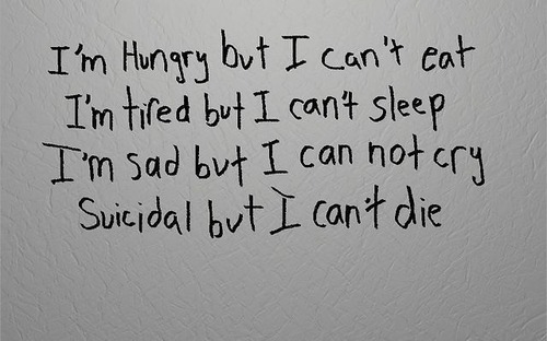 quotes-about-cats-dying-quotesgram