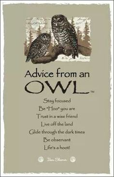  Owl  Sayings And Quotes  QuotesGram