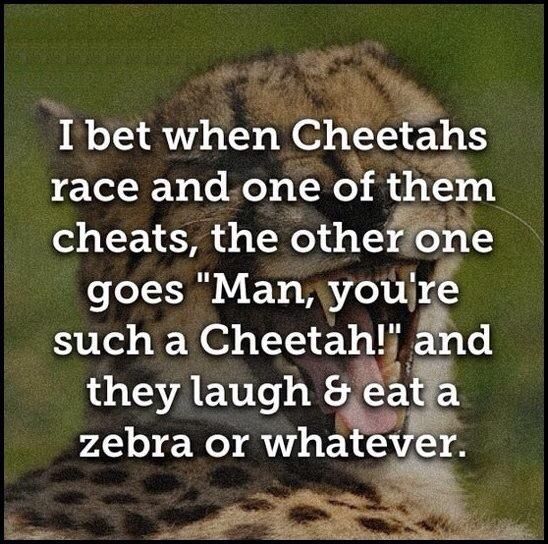 Cheetah Quotes. QuotesGram