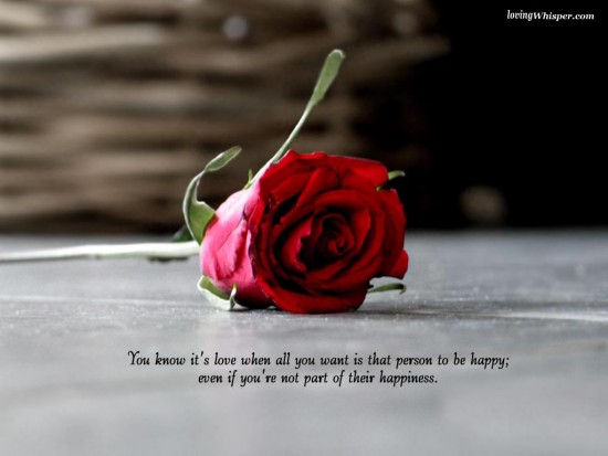 Love Quotes With Beautiful Roses. QuotesGram