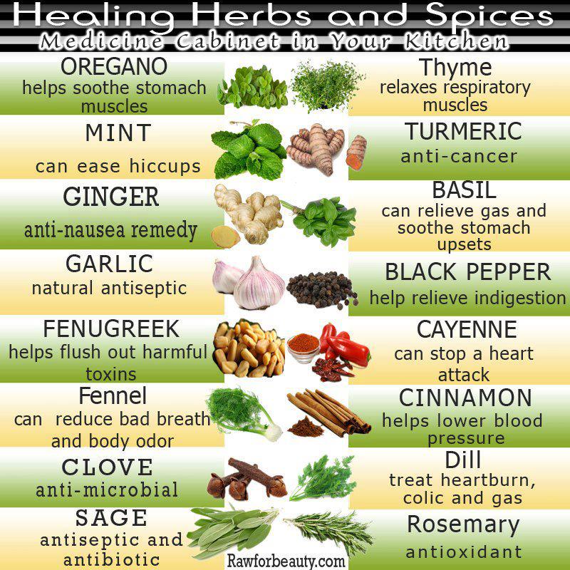 Quotes About Herbs And Spices. QuotesGram