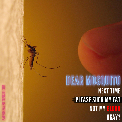 Mosquitoes Pictures Of Hilarious Quotes. QuotesGram