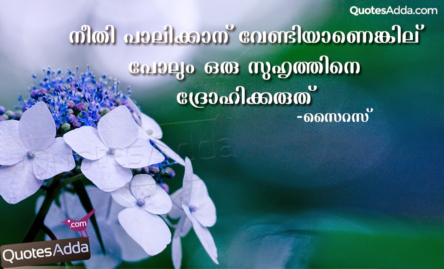Featured image of post True Friendship Deep Friendship Quotes In Malayalam - Then grows into a long and deep conversation, the next thing you know, you care so much.