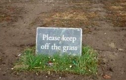 Funny Quotes About Grass QuotesGram Funny Quotes About Grass QuotesGram