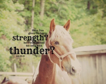 Christian Horse Quotes. QuotesGram