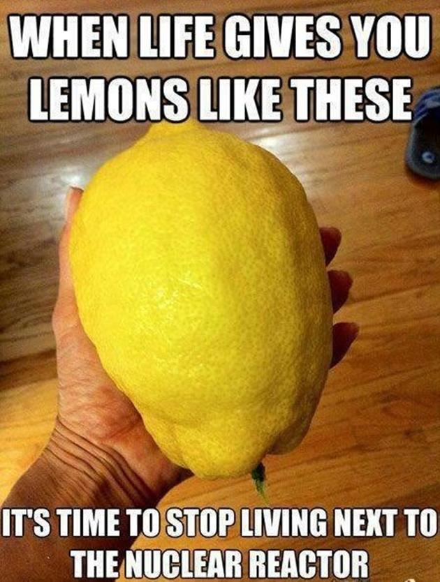 Funny Quotes About Lemons. QuotesGram