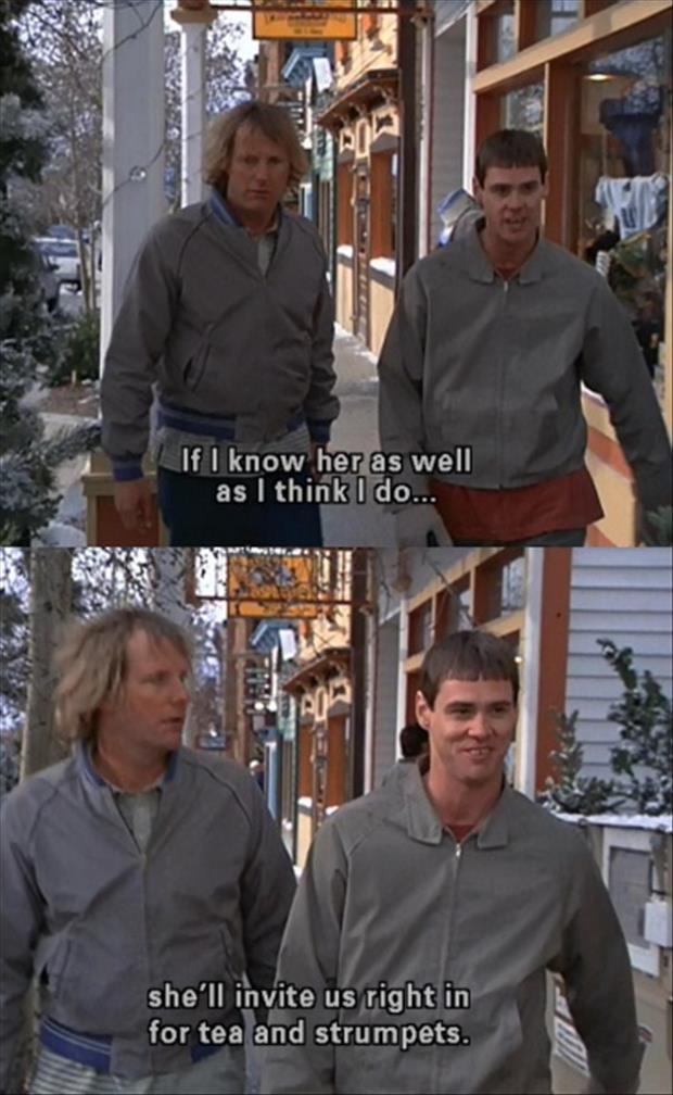 Funny Dumb And Dumber Quotes Dumb & Dumber Quotes. Quotesgram Funny Dumb And Dumber Quotes Dumb & Dumber Quotes. Quotesgram