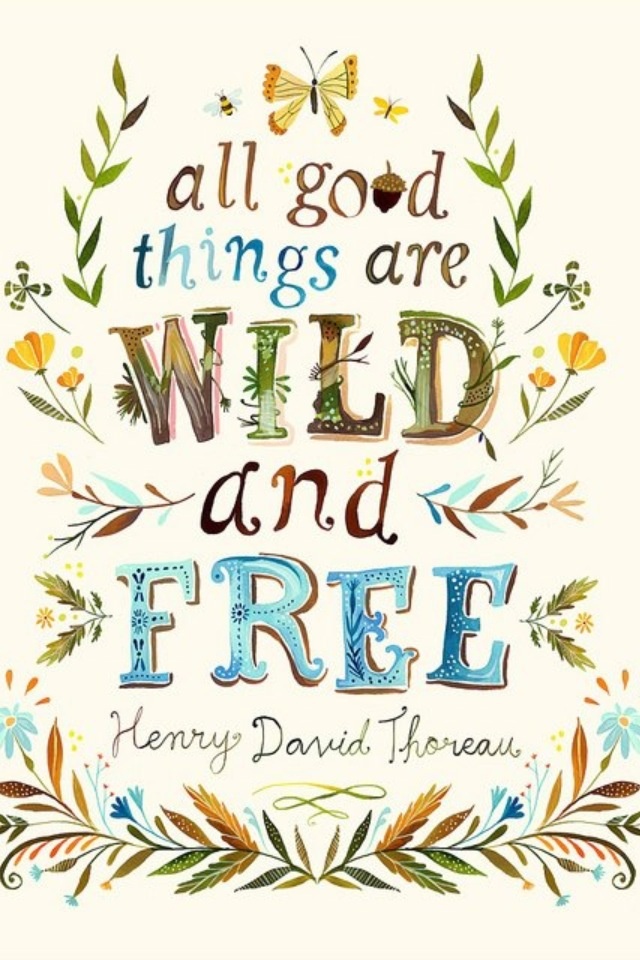 Wild And Free Quotes And Sayings. QuotesGram