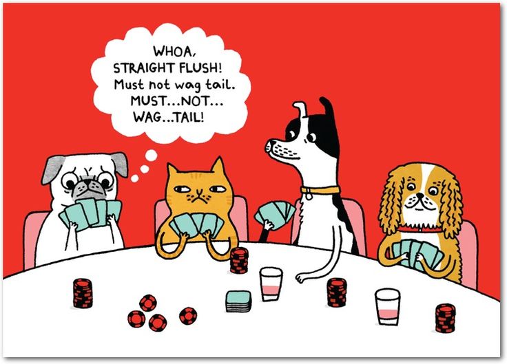 Playing Cards Quotes Humor Quotesgram