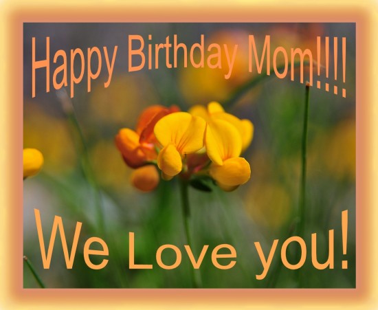 Happy Birthday Mom We Love You We Love You Mom Quotes. Quotesgram