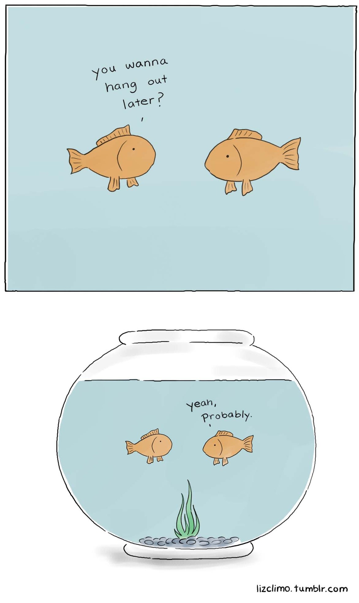 Fish Bowl Quotes QuotesGram